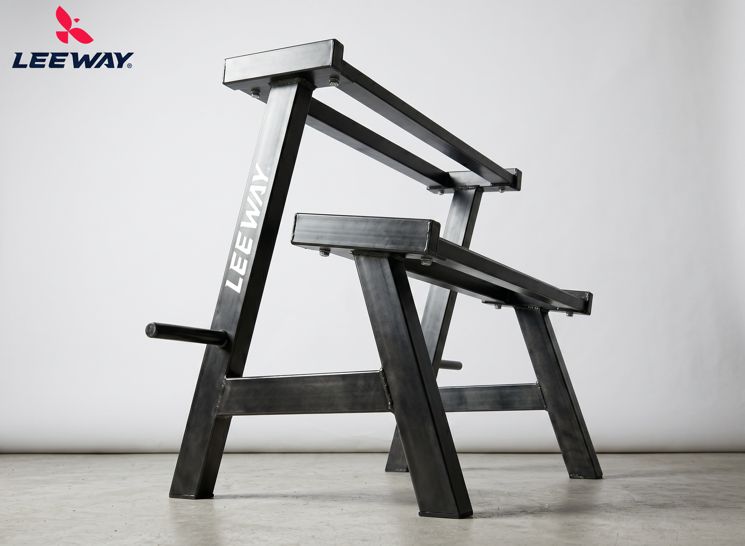 2 Tier Steel Home Gym Dumbbell Rack