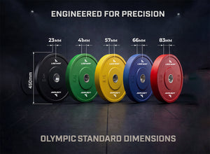 Colour Bumper Weight Plate Gym Weight Range