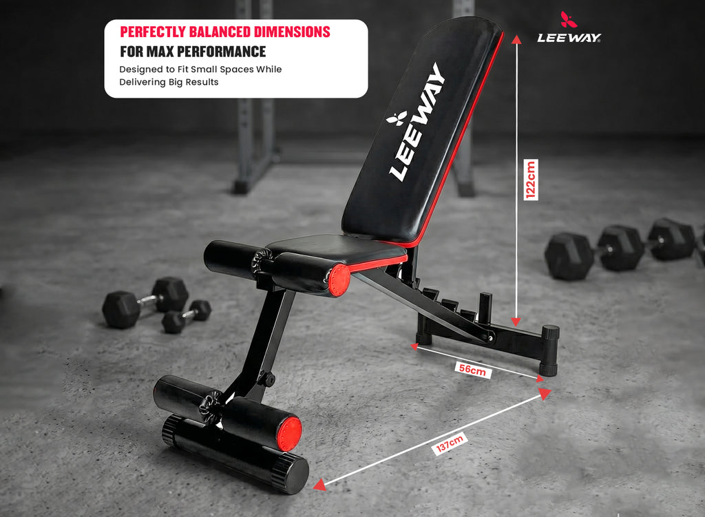Exercise Bench for Workout