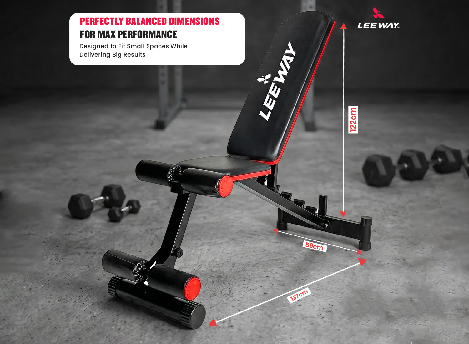 Exercise Bench for Workout