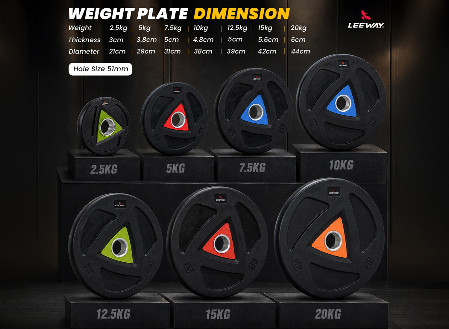 Weight Lifting Plates