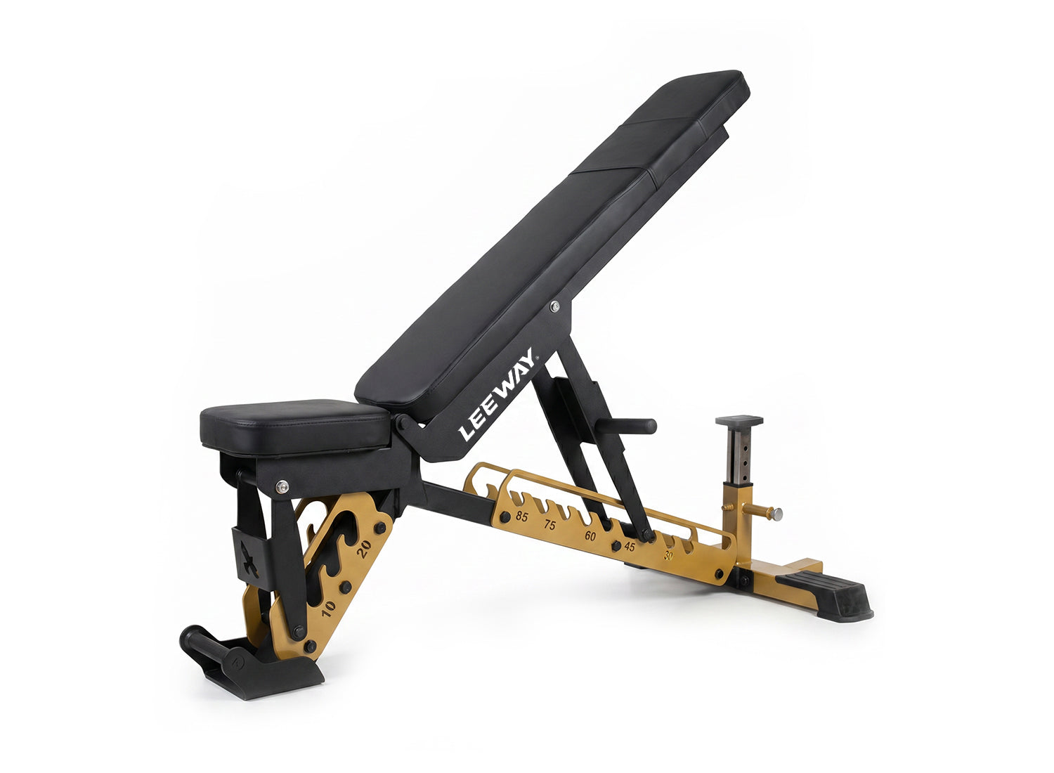 Weight Training Bench

