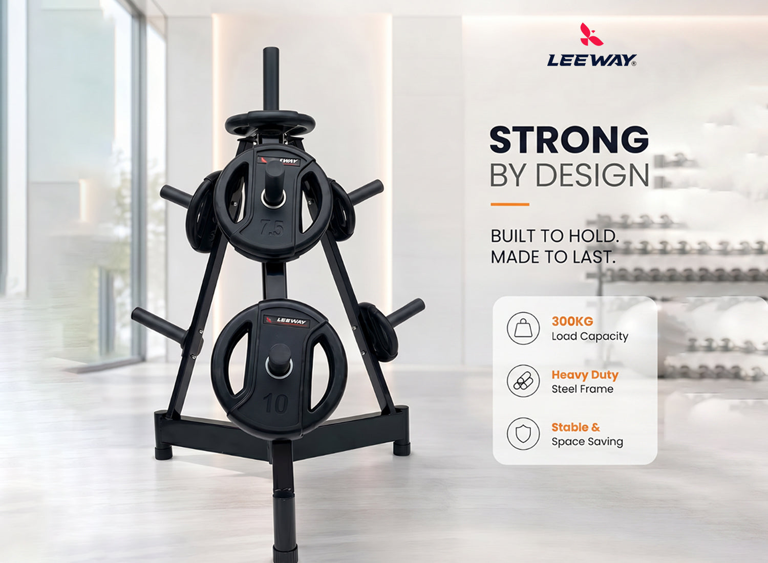 A Frame Vertical Dumbbell Rack