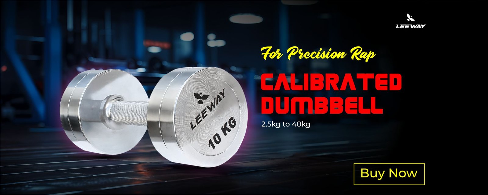 Steel dumbbells set Leeway